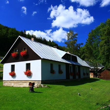 Guest House U Lakomce Desná Esterno foto