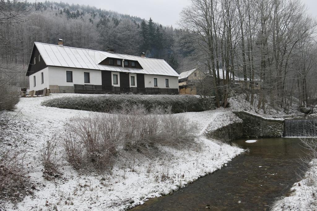 Guest House U Lakomce Desná Esterno foto