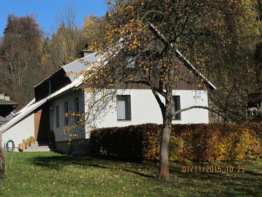 Guest House U Lakomce Desná Esterno foto