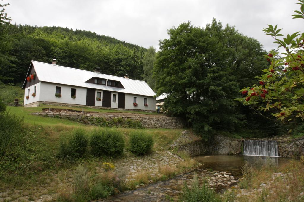 Guest House U Lakomce Desná Esterno foto