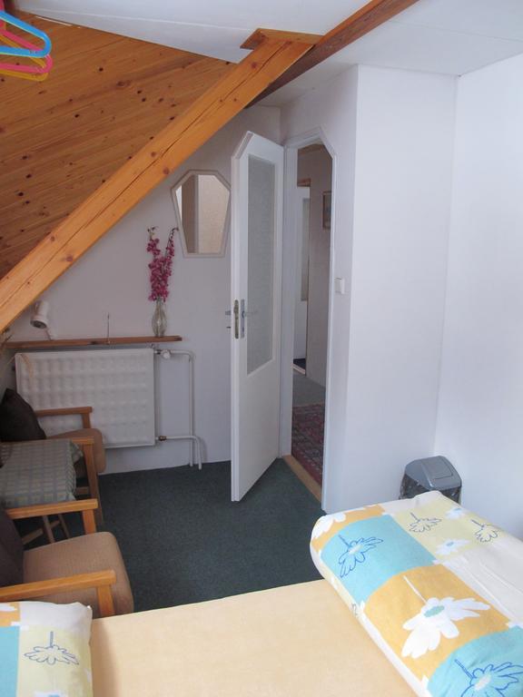 Guest House U Lakomce Desná Esterno foto